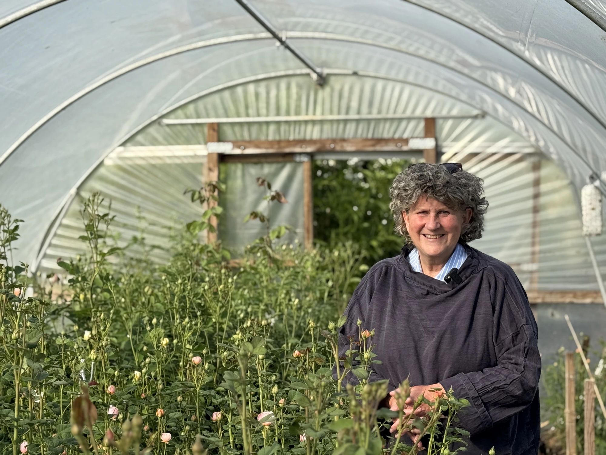 Roz Chandler, flower farmer and co-founder of the British School of Sustainable Floristry, in her polytunnel of British-grown roses