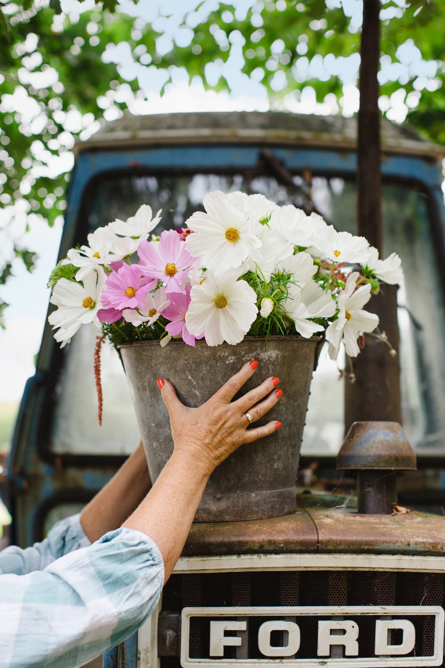 Single-Use Plastics in Floristry — sustainable floristry in practice at the British School of Sustainable Floristry
